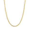 Curb Chain Anklet