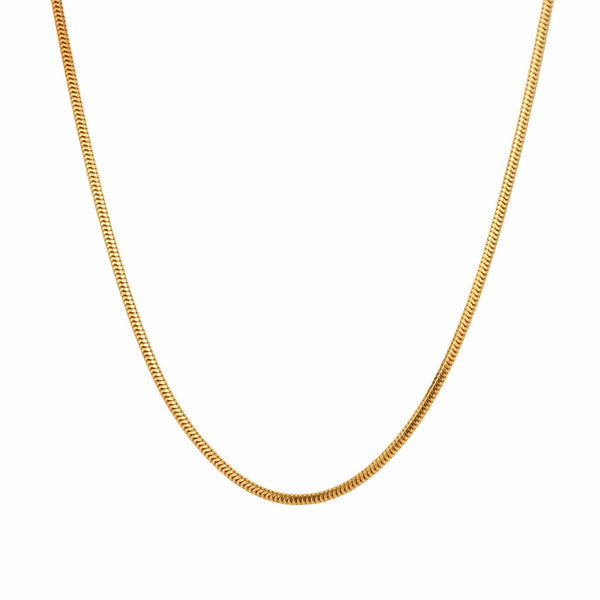 Snake Chain Anklet
