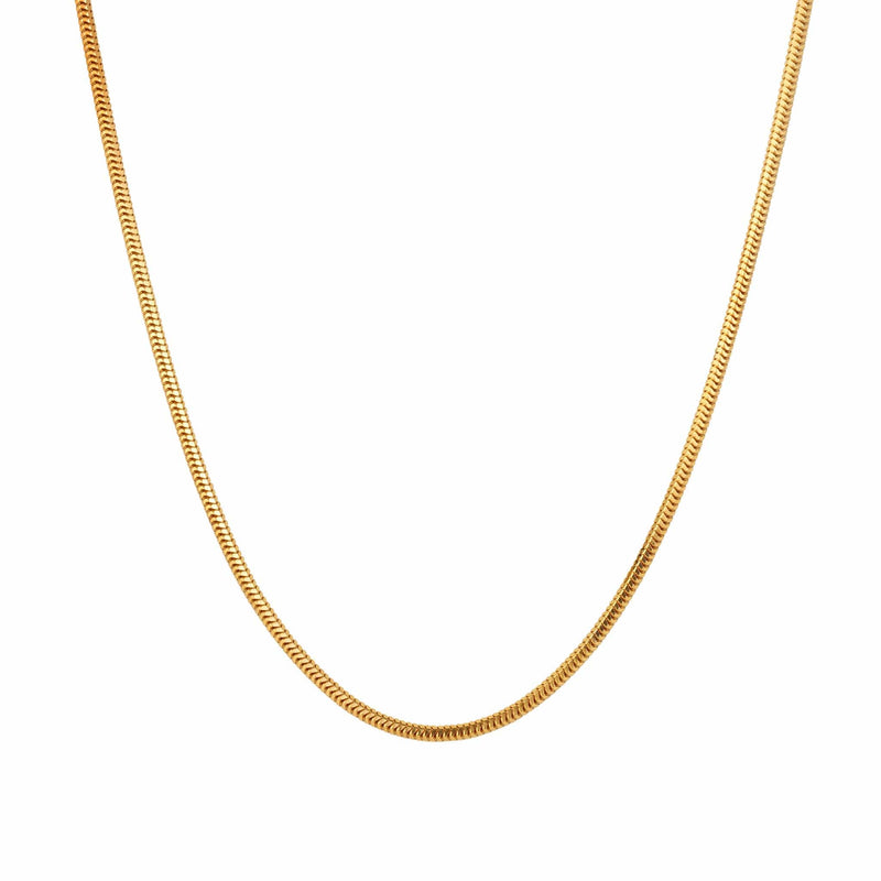 A gold snake chain anklet.