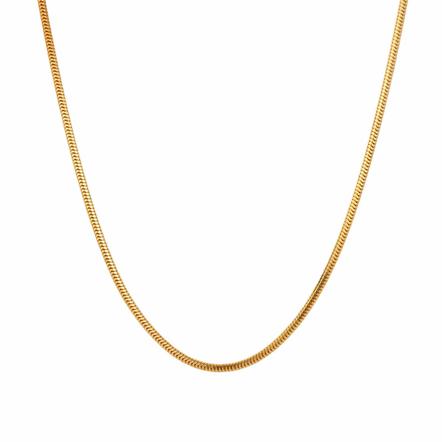 A gold snake chain anklet.