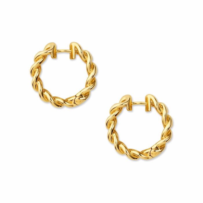 Side shot of chain link hoop earrings