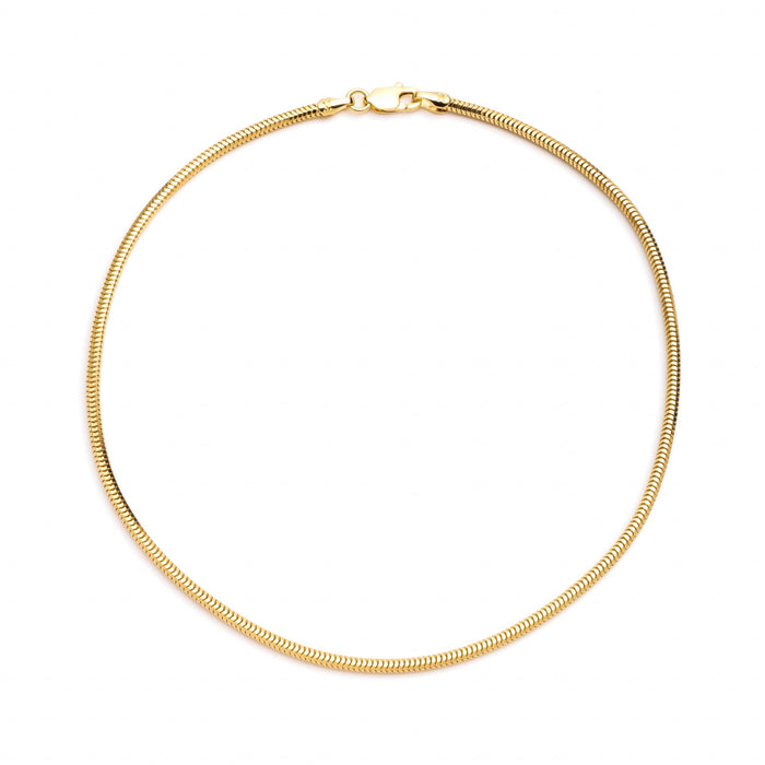 Snake Chain Anklet