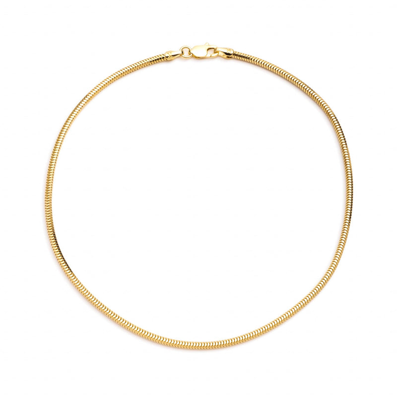 Snake Chain Anklet