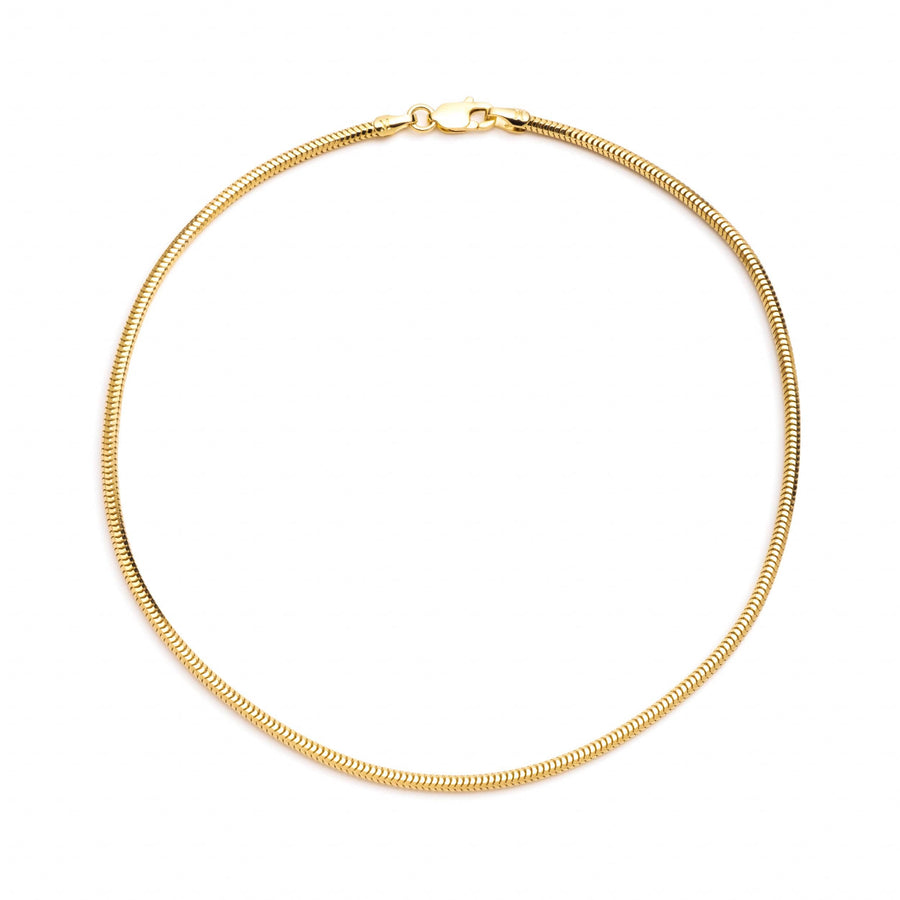 Snake Chain Anklet